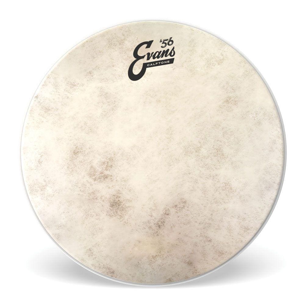 Pele Para Tom E Caixa Calftone 14`` Evans TT14C7