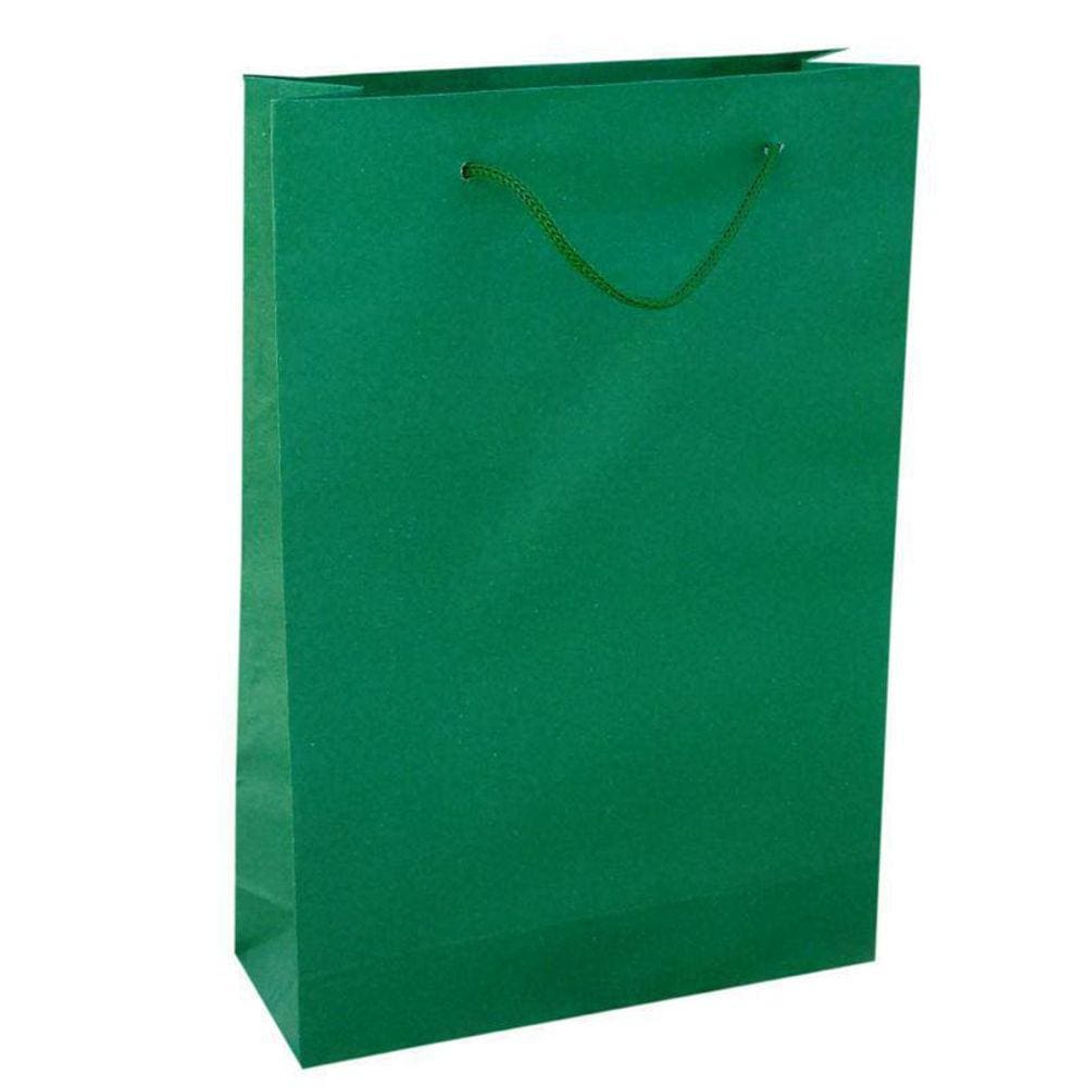 Kit 30 Sacolas Papel Verde Bandeira Presente 25X17X6Cm Bolsa