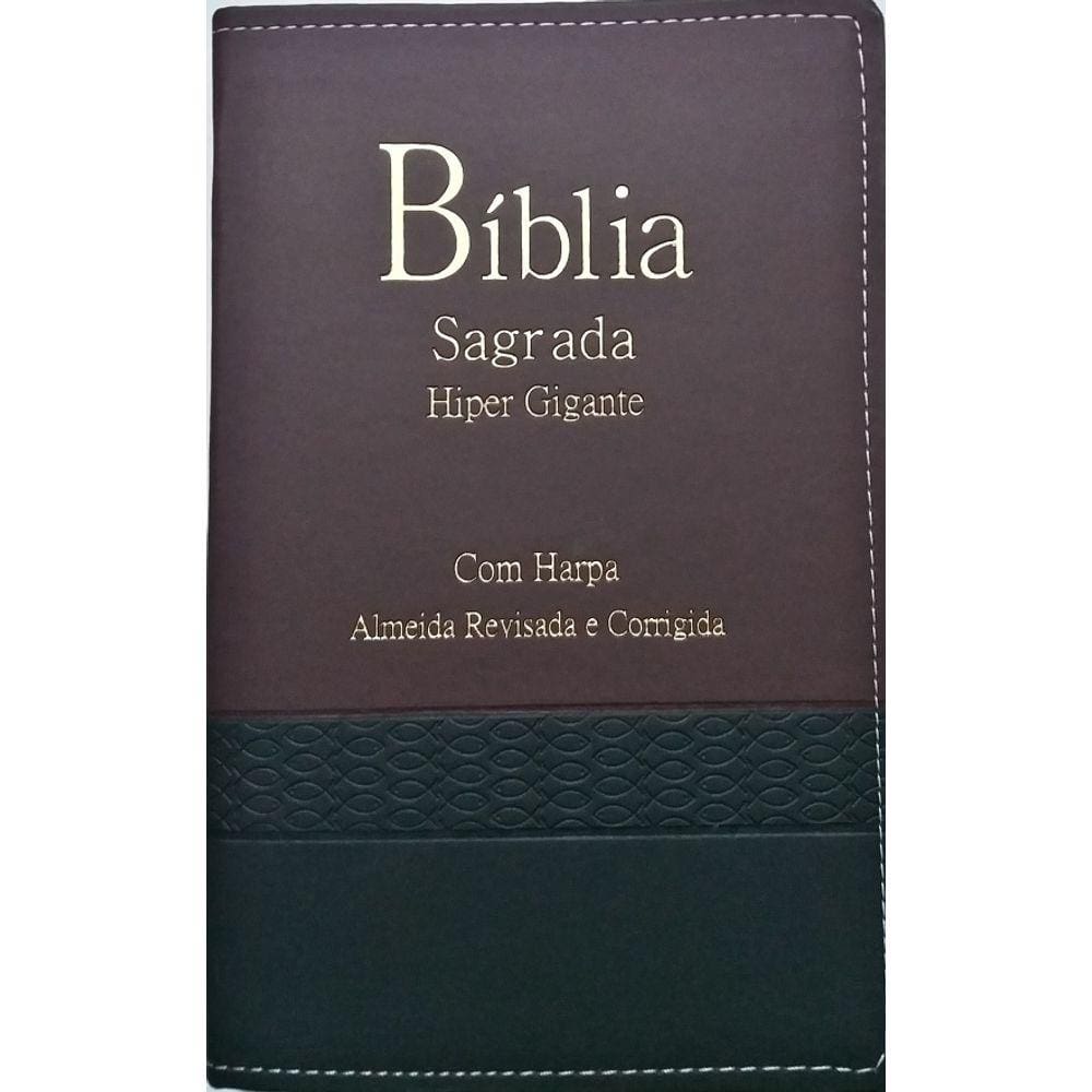 Biblia Hiper Gigante Com Harpa Luxo Bicolor CPP