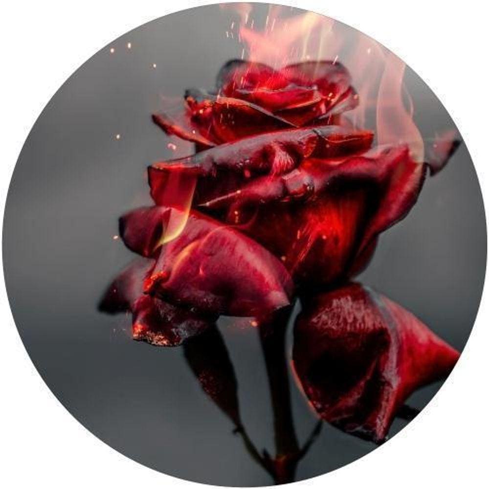 Capa De Estepe Ecosport Aircross Flor Ardente