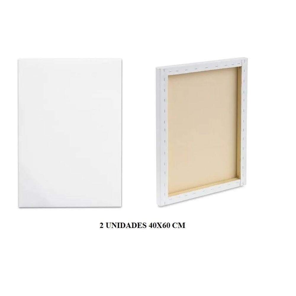 Kit Com 2 Telas Para Pintura Píncel Tamanho 40x60Cm
