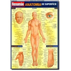 Anatomia Superficial