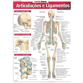 Resumao Medicina - Articulacao E Ligamentos - Avancado