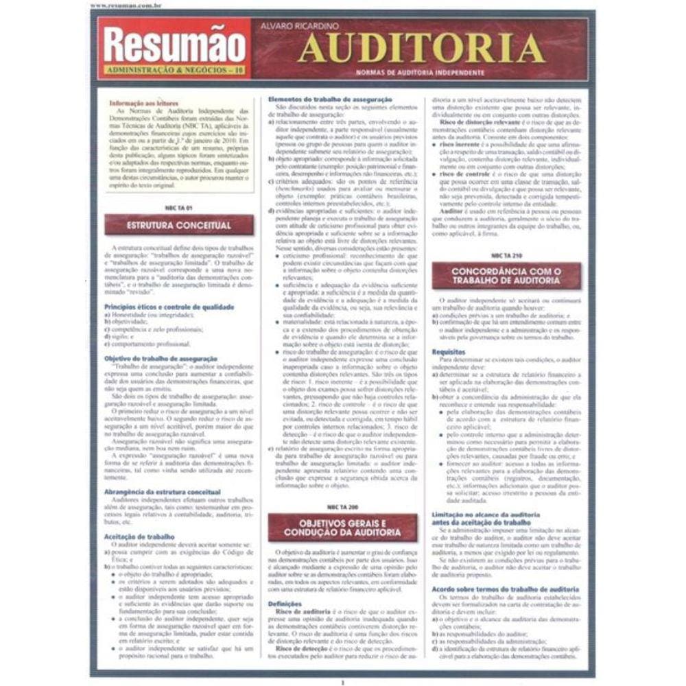 Resumao - Auditoria