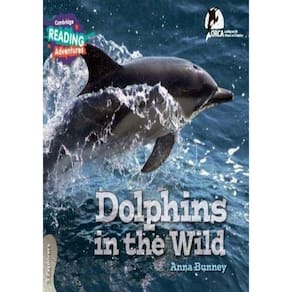 Dolphins In The Wild 3 Explorers