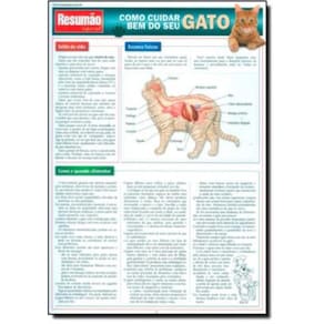 Como Cuidar Bem Do Seu Gato