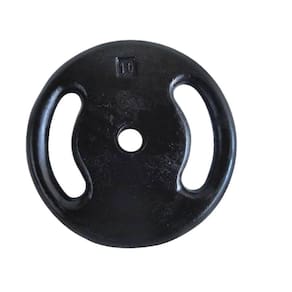 Anilha Ferro Fundido Pintada Academia 10 Kg