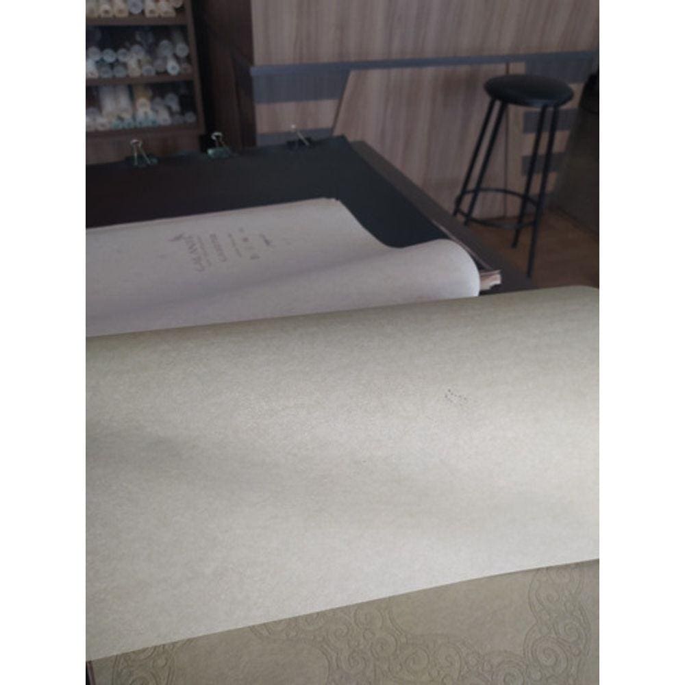 Papel De Parede Liso Verde Claro