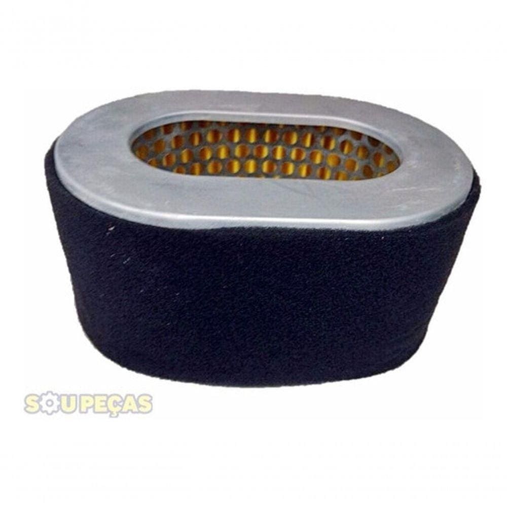 Filtro Ar Lcw D10-13hp