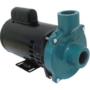 Motobomba Standard 1,5Cv 60Hz 127/220V Ecs-Sa150M Eletroplas