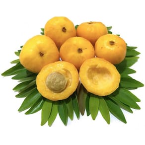 Muda Uvaia