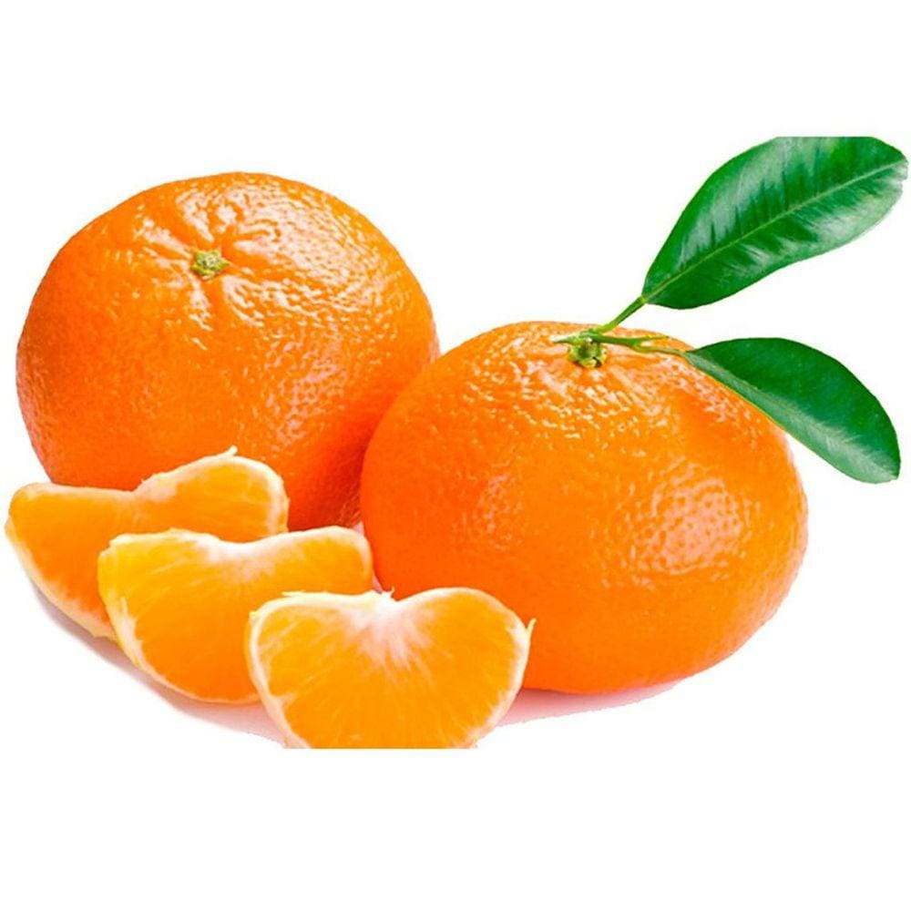 Muda Tangerina Mexirica do Rio