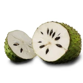 Muda Graviola