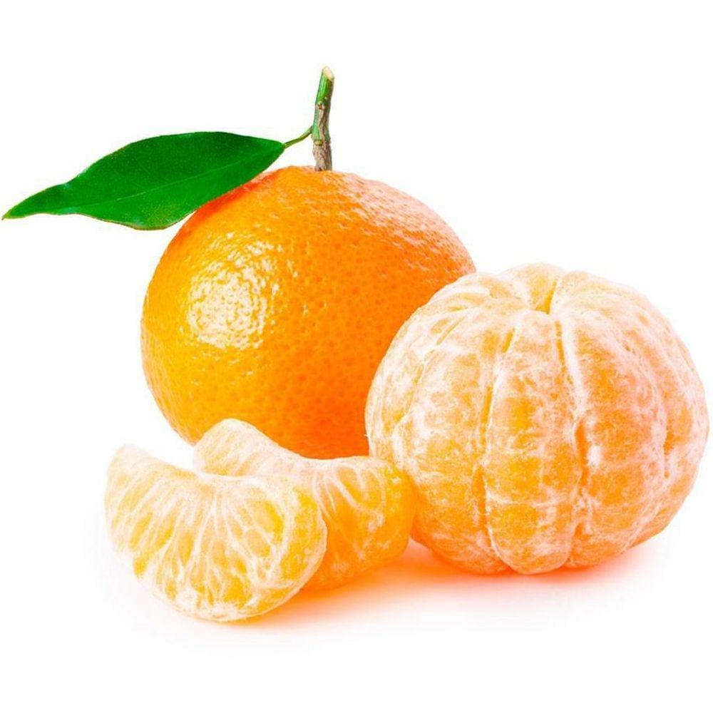 Muda Tangerina Murcott