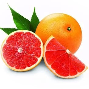 Muda Laranja Sanguinea