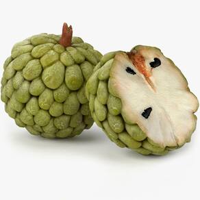 Muda Anona