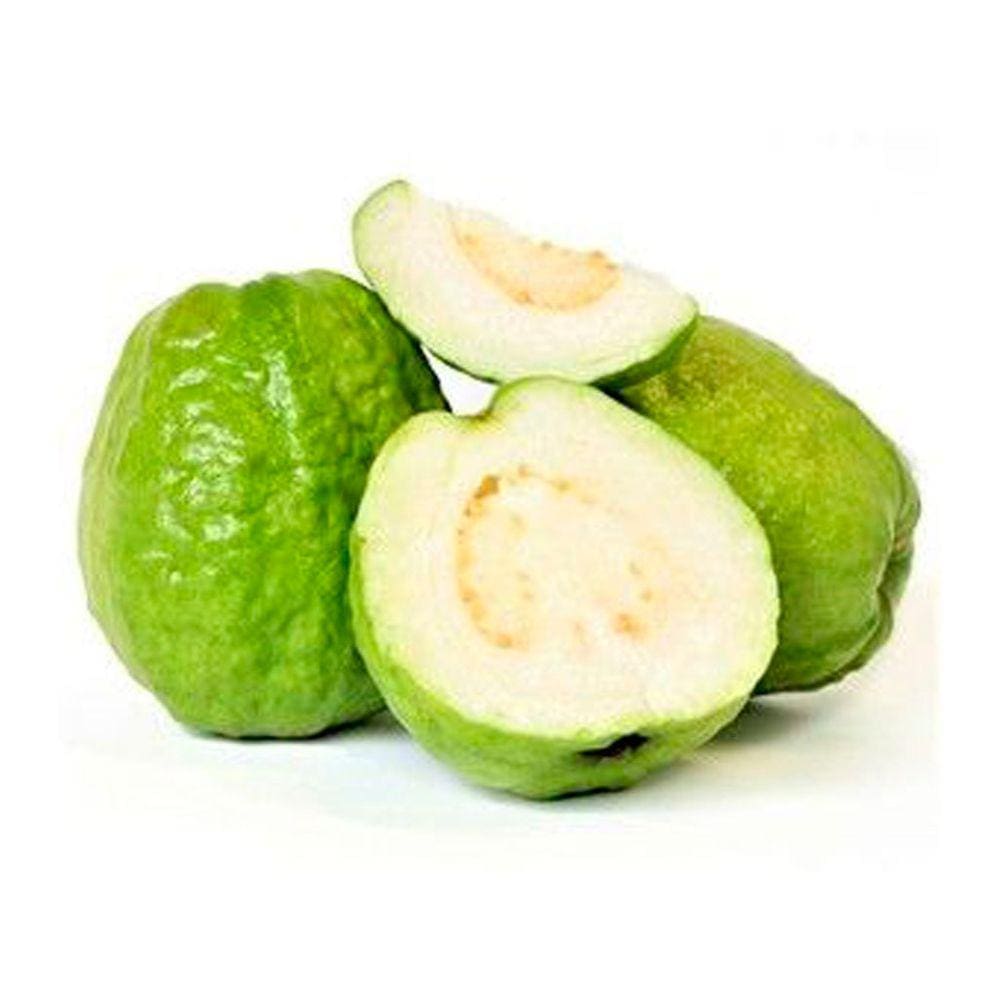Muda Goiaba Paluma Branca