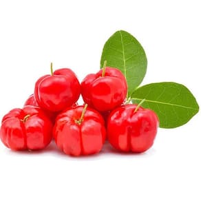 Muda Acerola