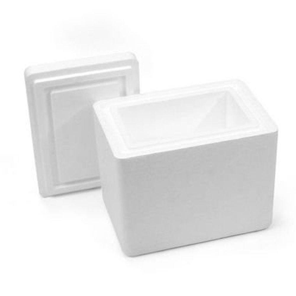 KIT TÉRMICO EPS 04L | 2°C À 8°C | 2 TS400 + 2 Separadores