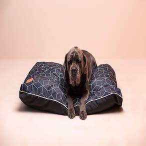Caminha Pet Quadrada Almofada Cachorro Tamanho G 125x110Cm