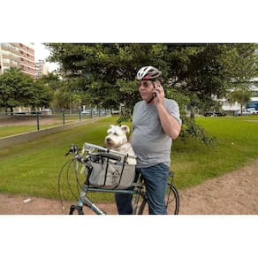 Cesto Para Pets Em Bike, Pintado, Cesto Cinza, Engate Rápido
