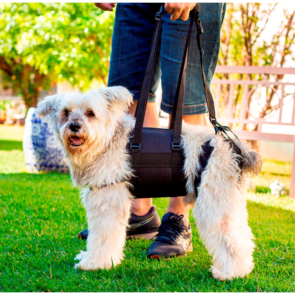 Peitoral com suporte das patas traseiras para Pets com deficiência para andar, cor preta