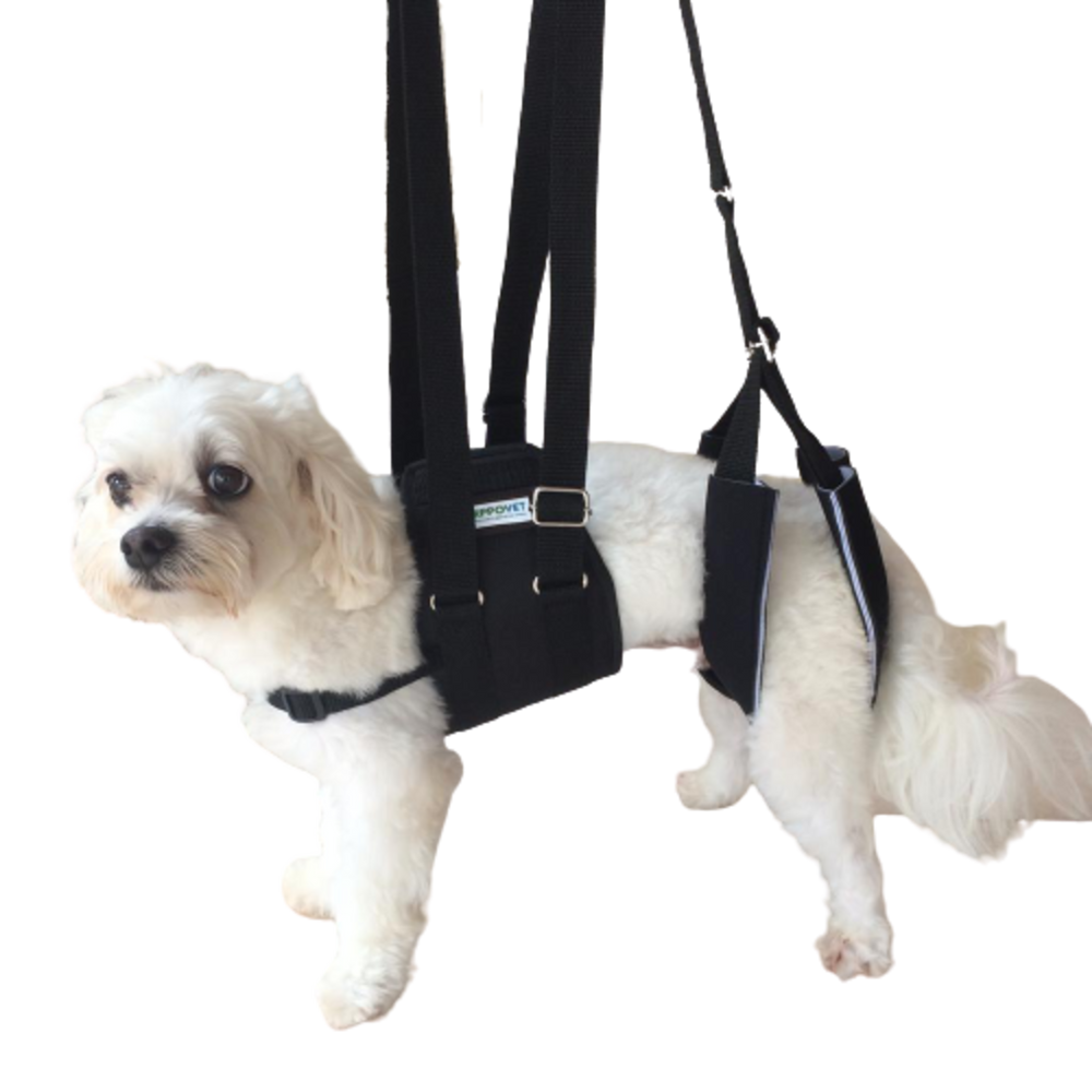 Peitoral com suporte das patas traseiras para Pets com deficiência para andar, cor preta