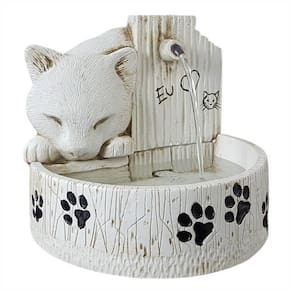 Bebedouro para gato fonte de água prime Bivolt cor Branca
