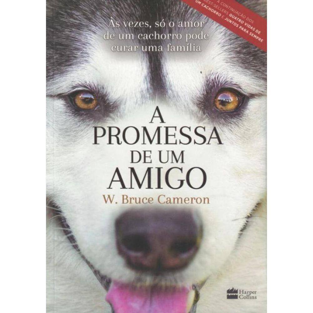Promessa De Um Amigo, A