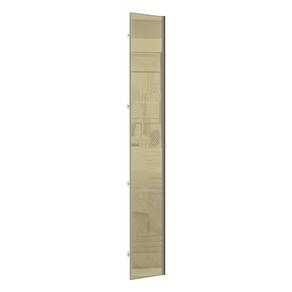 Porta para Roupeiro Closet Canto Individual 40cm Puxador Perfil Champagne com Vidro Luciane Móveis