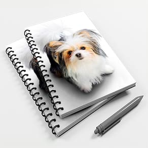 Caderno Universitário 10 Mat Cachorro Yorkshire Terrier