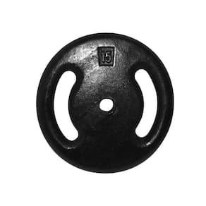 Anilha Ferro Fundido Pintada Fitness Academia 15 Kg
