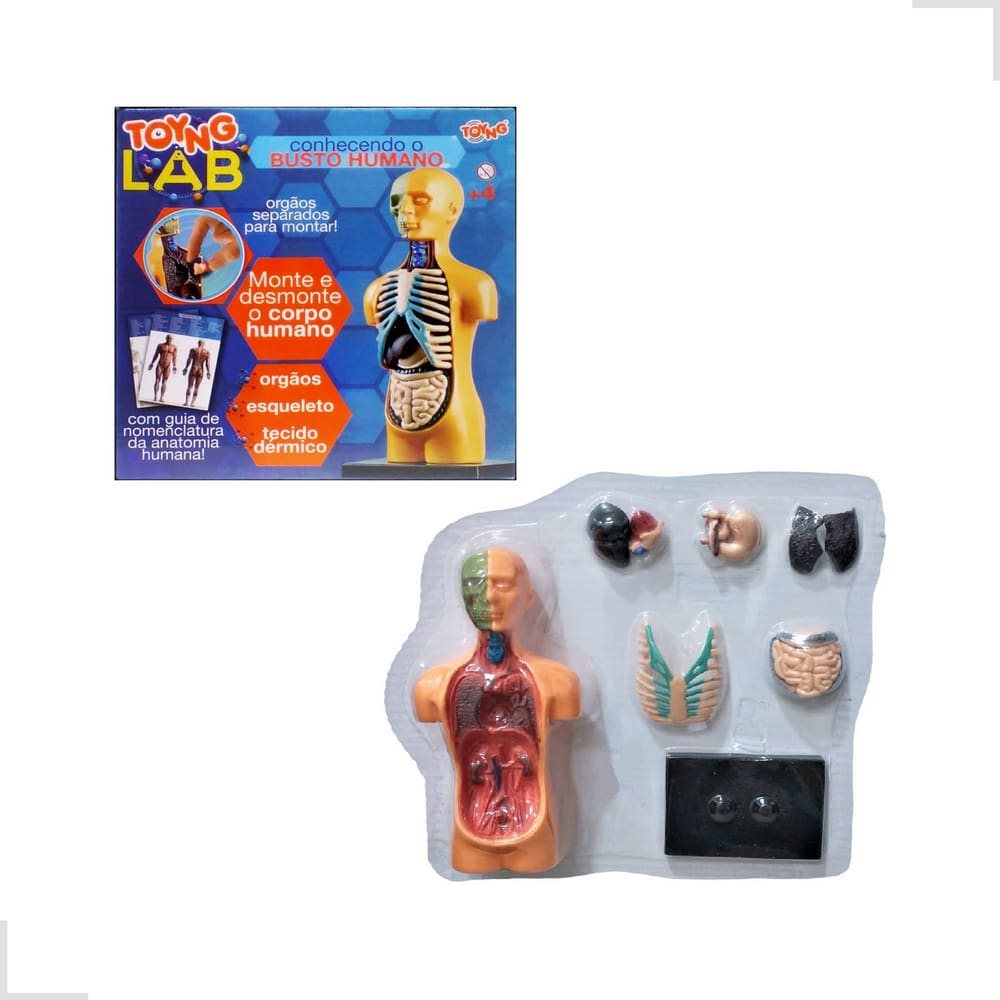 Kit Medicina Explora Corpo Humano Busto Órgãos Anatomia