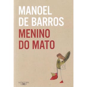 Menino Do Mato