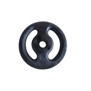 Anilha Ferro Fundido Pintada Fitness Academia 5,0 Kg