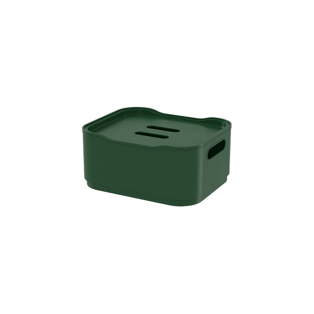 Caixa Organizadora Com Tampa Coza Fit Pequena 18,5 x 15 x 8,3 cm Verde Palm