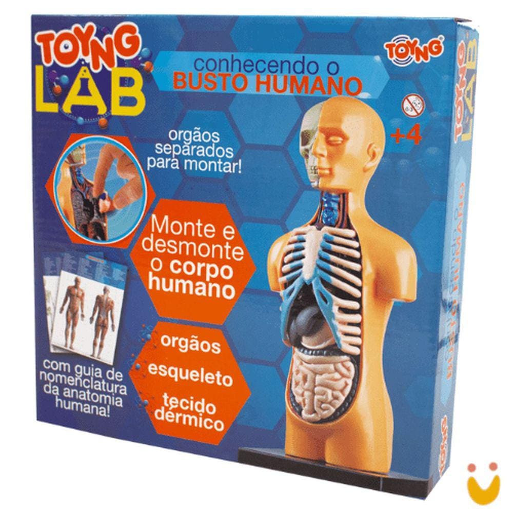 Kit Médico Conhecendo o Busto Humano - Toyng 48883