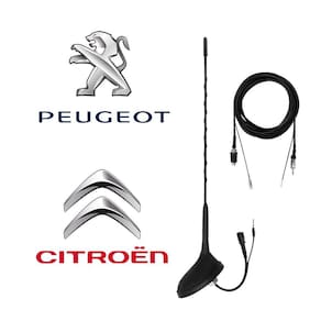 Antena de Teto + Extensão RAST Peugeot Citroen Amplificada
