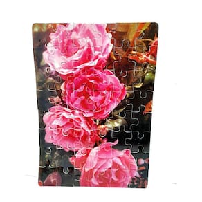 Kit 6 Quebra-Cabeças Cognitivos - Flores 40 Peças