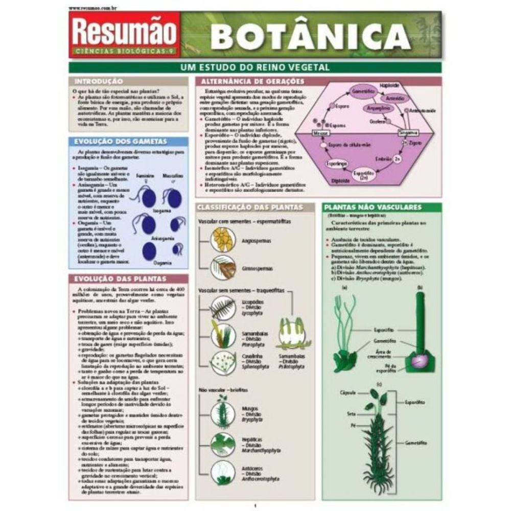 Resumao Botanica - Bafisa