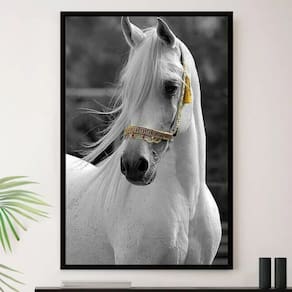 Quadro decorativo Cavalo Preto Pulando Para Sala Quarto Escr