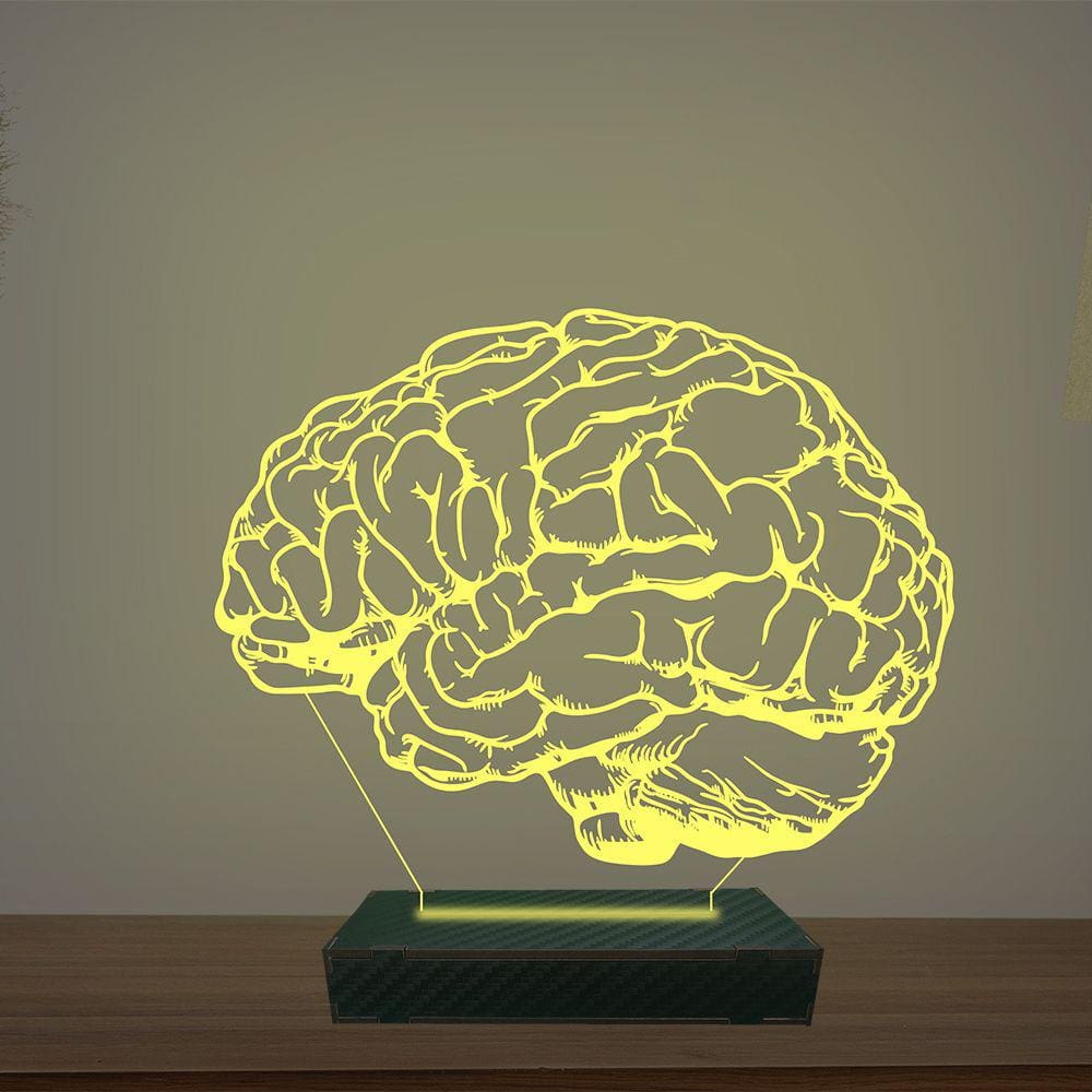 Luminária Led 3d Cérebro Neurologista Médico Abajur Luxo