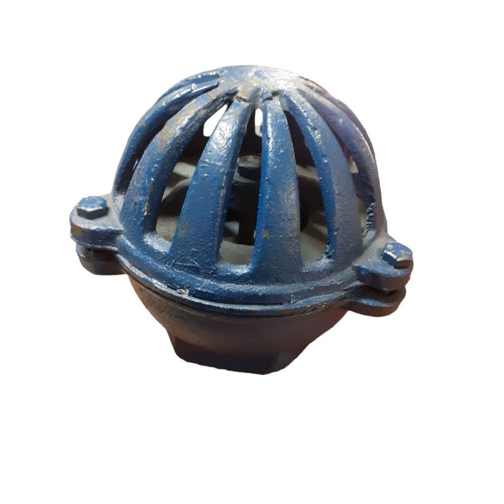 Valvula de Pé Ferro Fundido Rosqueavel para Poço 3"