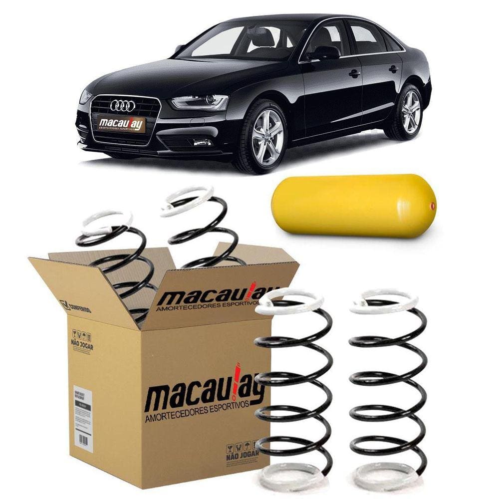 Par De Molas Gnv Macaulay Traseira Audi A4