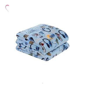 Cobertor Manta Solteiro Infantil Flannel 1,50X2,20 Menino