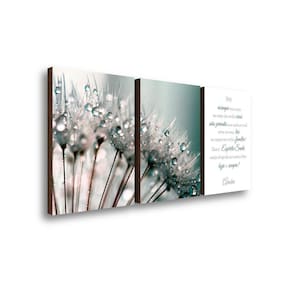 Quadros Decorativo Kit Trio Flores Dente De Leão + Frase