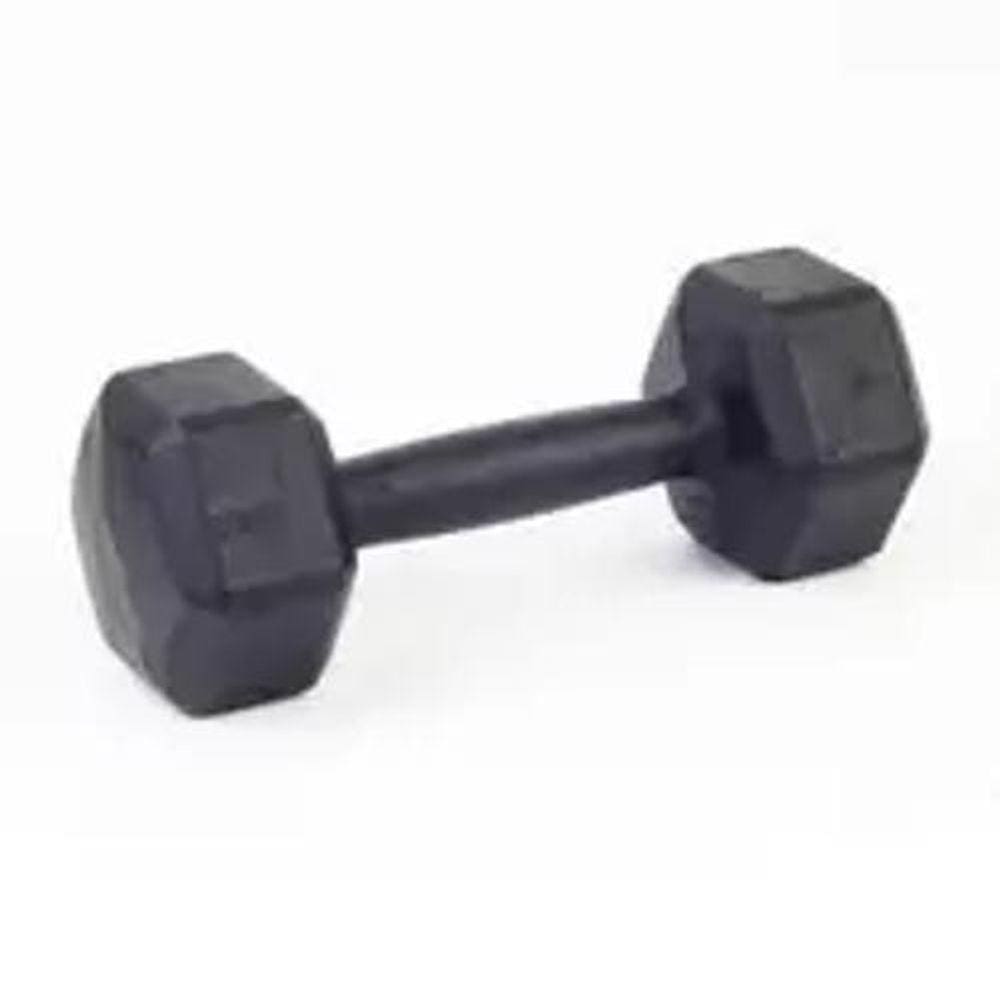 Par Halter Sextavado Ferro 02Kg