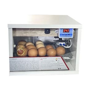 Chocadeira Automática 30 Ovos Digital 220Volts