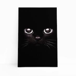 Gato Preto Foto Minimalista Animais Quadro Canvas 140x90cm