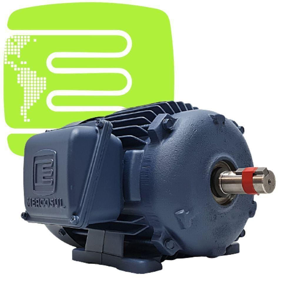 Motor Trifásico 1/2 Cv - 6 Polos (220/380V) Bnd8003008
